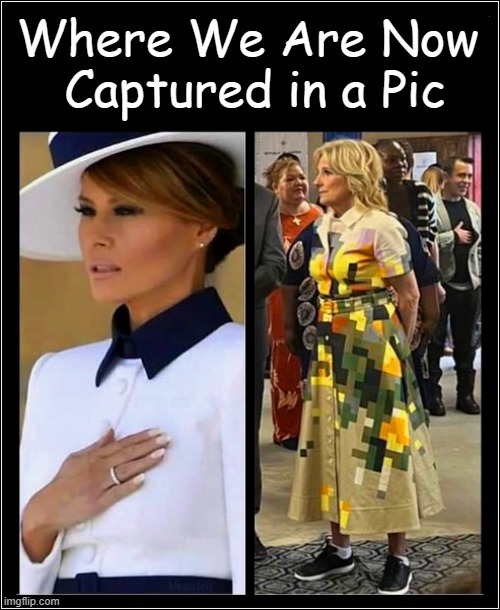 America | Where We Are Now 
Captured in a Pic | image tagged in politics,political humor,comparison,the good the bad and the ugly,melania trump,jill biden | made w/ Imgflip meme maker