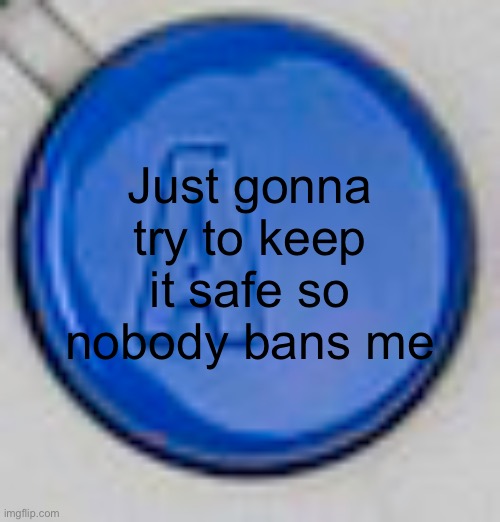 A button | Just gonna try to keep it safe so nobody bans me | image tagged in a button | made w/ Imgflip meme maker