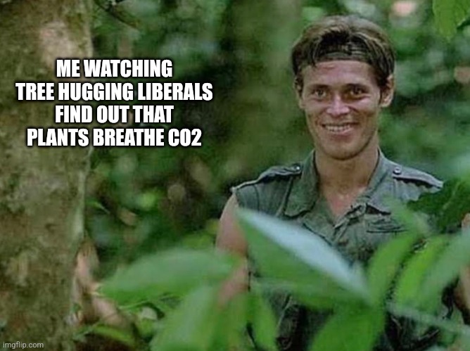 Smiling | ME WATCHING TREE HUGGING LIBERALS FIND OUT THAT PLANTS BREATHE CO2 | image tagged in smiling,funny memes | made w/ Imgflip meme maker