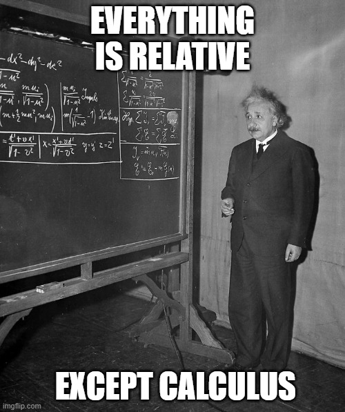 Einstein | EVERYTHING IS RELATIVE; EXCEPT CALCULUS | image tagged in einstein | made w/ Imgflip meme maker