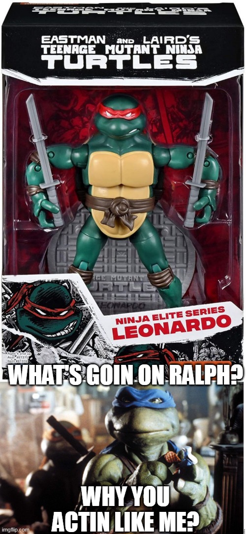 SOMEONE WAS A LITTLE CONFUSED | WHAT'S GOIN ON RALPH? WHY YOU ACTIN LIKE ME? | image tagged in tmnt,teenage mutant ninja turtles,fail | made w/ Imgflip meme maker