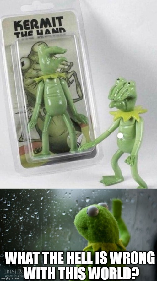 KERMIT THE HAND | WHAT THE HELL IS WRONG
 WITH THIS WORLD? | image tagged in kermit window,kermit the frog,kermit,fake | made w/ Imgflip meme maker