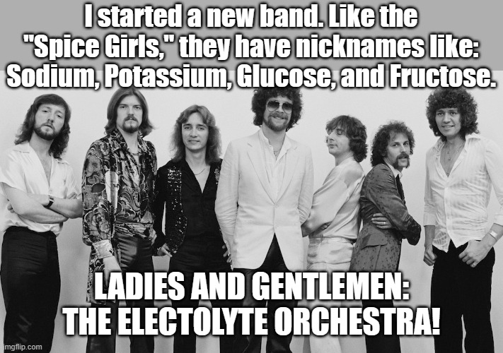 You kids on imgflip will probably NOT get this. | I started a new band. Like the "Spice Girls," they have nicknames like: Sodium, Potassium, Glucose, and Fructose. LADIES AND GENTLEMEN: THE ELECTOLYTE ORCHESTRA! | image tagged in bands,1970's,pop music | made w/ Imgflip meme maker