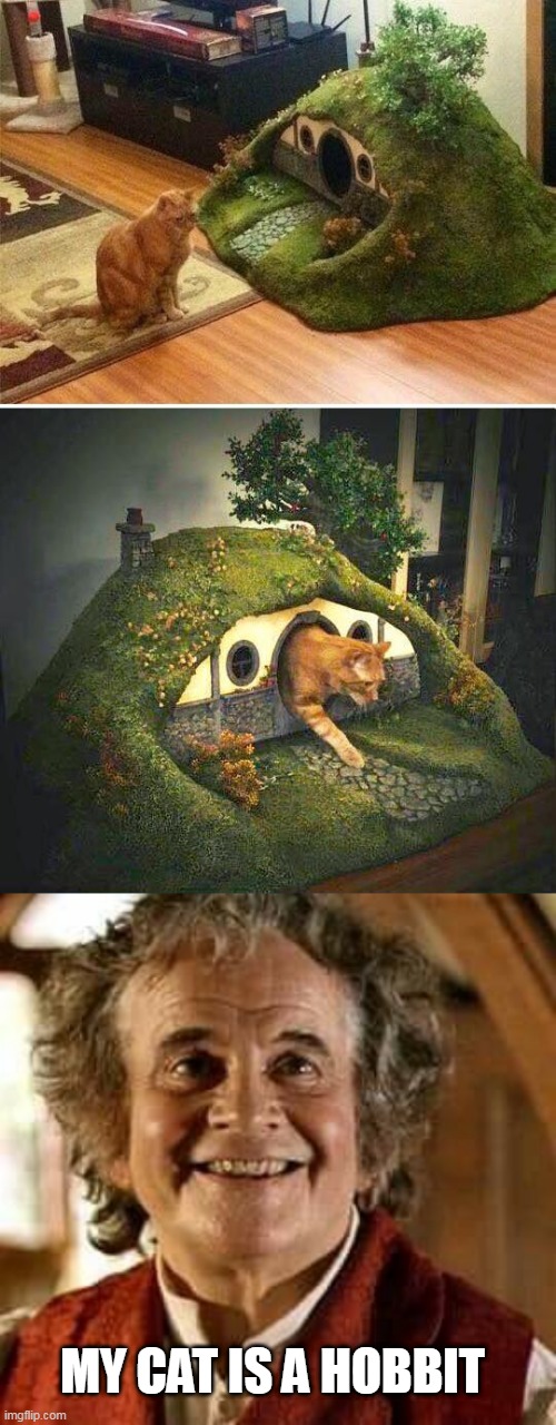 IT'S A HOBBITS CAT | MY CAT IS A HOBBIT | image tagged in bilbo happy,cats,funny cats,hobbit | made w/ Imgflip meme maker