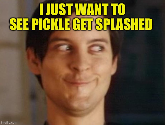 Spiderman Peter Parker Meme | I JUST WANT TO SEE PICKLE GET SPLASHED | image tagged in memes,spiderman peter parker | made w/ Imgflip meme maker