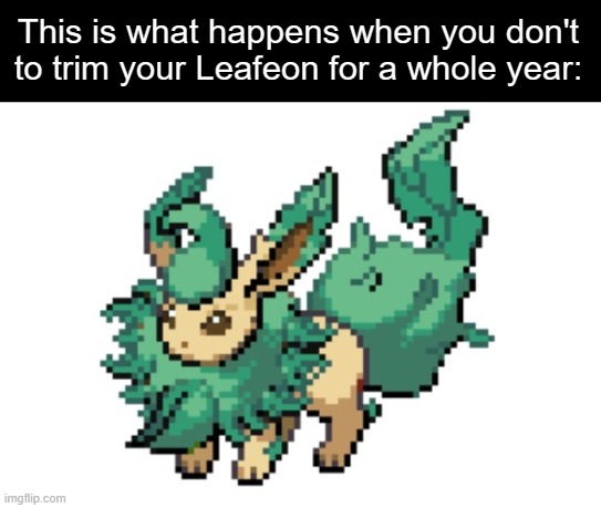 "Green Flareon isn't real" | This is what happens when you don't to trim your Leafeon for a whole year: | image tagged in pokemon fusion,fusion,eevee | made w/ Imgflip meme maker