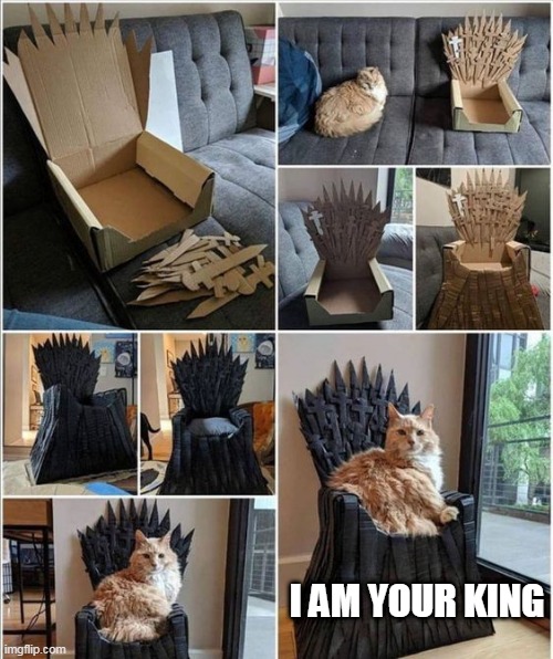 CAT OF THRONES | I AM YOUR KING | image tagged in funny cats,cats,game of thrones | made w/ Imgflip meme maker