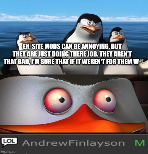 EH, SITE MODS CAN BE ANNOYING, BUT THEY ARE JUST DOING THERE JOB. THEY AREN'T THAT BAD, I'M SURE THAT IF IT WEREN'T FOR THEM W- | made w/ Imgflip meme maker