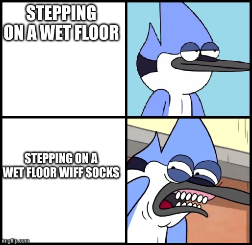 fr tho | STEPPING ON A WET FLOOR; STEPPING ON A WET FLOOR WIFF SOCKS | image tagged in mordecai disgusted | made w/ Imgflip meme maker