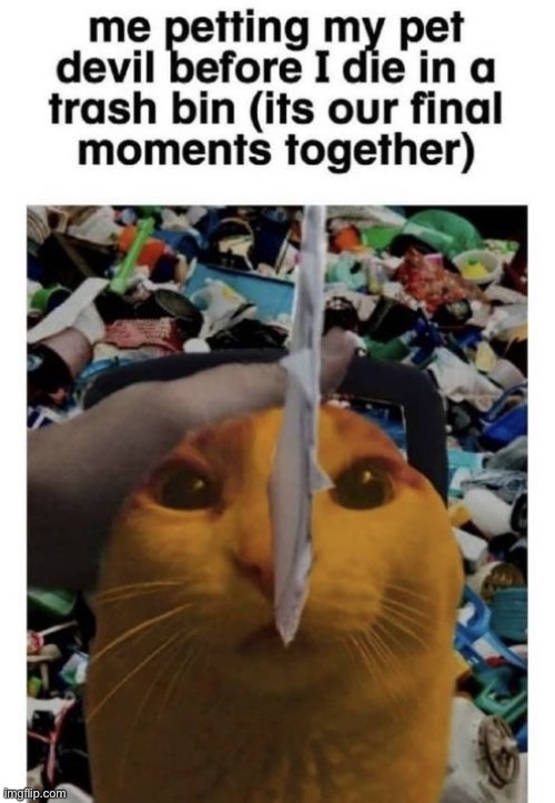 ( it’s chainsaw man ) | made w/ Imgflip meme maker