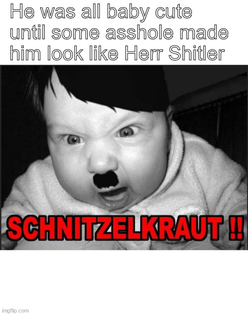 Hitler's last stand | He was all baby cute until some asshole made him look like Herr Shitler | image tagged in memes,dark humor | made w/ Imgflip meme maker