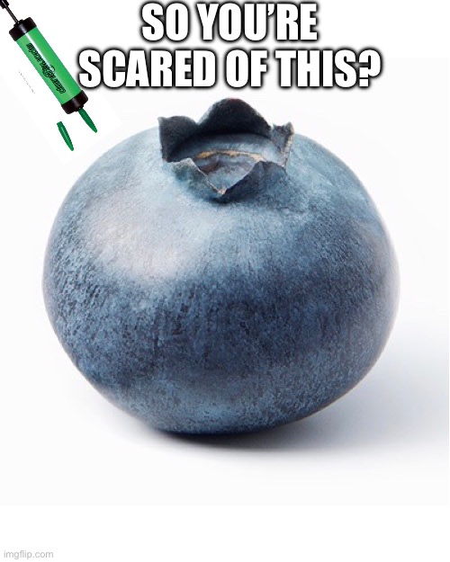 Blueberry | SO YOU’RE SCARED OF THIS? | image tagged in blueberry | made w/ Imgflip meme maker