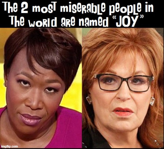 How Ironic! | image tagged in vince vance,joy behar,memes,irony,ironic,the view | made w/ Imgflip meme maker