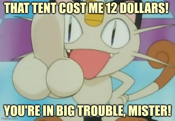 Meowth Dickhand | THAT TENT COST ME 12 DOLLARS! YOU'RE IN BIG TROUBLE, MISTER! | image tagged in meowth dickhand | made w/ Imgflip meme maker