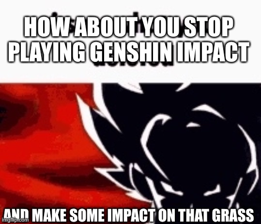 i saw what you deleted | HOW ABOUT YOU STOP PLAYING GENSHIN IMPACT AND MAKE SOME IMPACT ON THAT GRASS | image tagged in i saw what you deleted | made w/ Imgflip meme maker