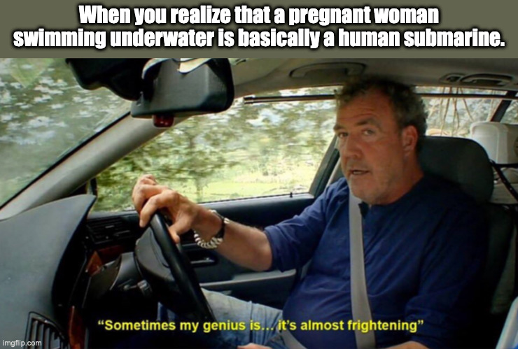 I mean, it's not wrong. | When you realize that a pregnant woman swimming underwater is basically a human submarine. | image tagged in sometimes my genius its almost frightening,memes,funny,jeremy clarkson,big brain,so true memes | made w/ Imgflip meme maker