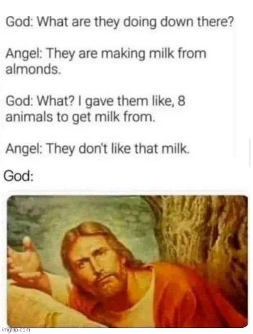"Damn these humans are annoying" | image tagged in almond milk,god,repost | made w/ Imgflip meme maker