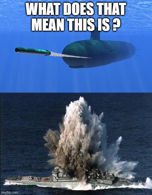 torpedo submarine | WHAT DOES THAT MEAN THIS IS ? | image tagged in torpedo submarine | made w/ Imgflip meme maker