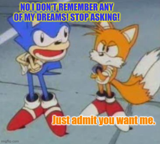 tails and sonic | NO I DON'T REMEMBER ANY OF MY DREAMS! STOP ASKING! Just admit you want me. | image tagged in tails and sonic | made w/ Imgflip meme maker
