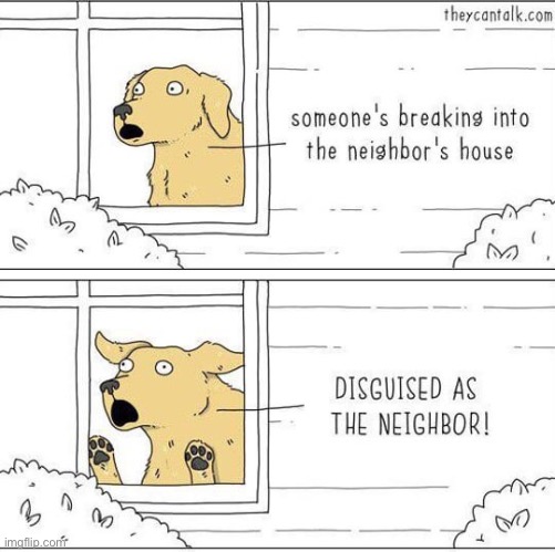 He protect his neighbor | image tagged in wholesome,comics,comics/cartoons,memes,wholesome content,dogs | made w/ Imgflip meme maker