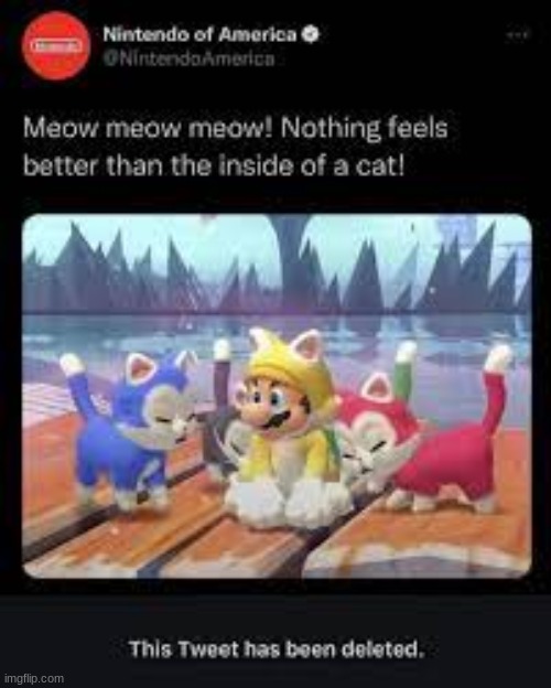 NOOOOOOOOOOOOOO MARIO IS A FURRY | made w/ Imgflip meme maker