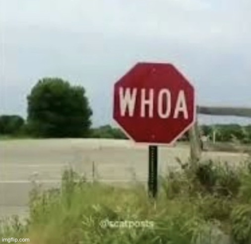 Woah stop sign | image tagged in woah stop sign | made w/ Imgflip meme maker