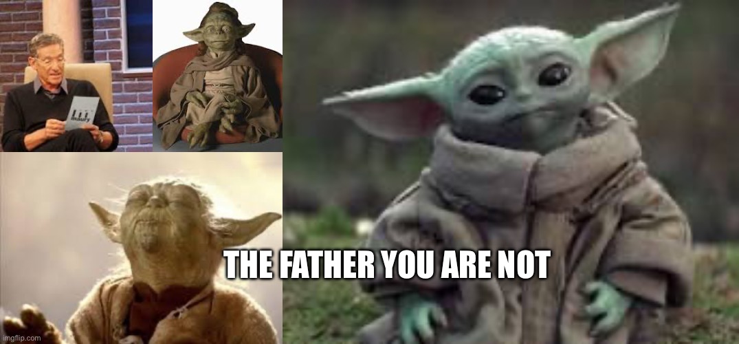 Baby yoda | THE FATHER YOU ARE NOT | image tagged in maury lie detector | made w/ Imgflip meme maker