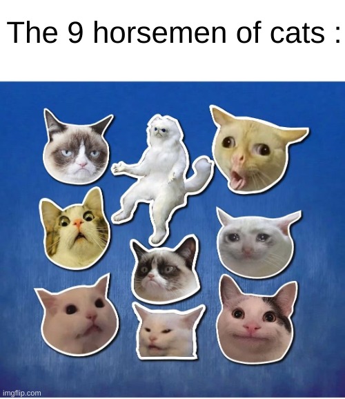 Yes | The 9 horsemen of cats : | image tagged in cats | made w/ Imgflip meme maker