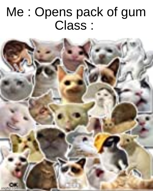 "Gum please" | Me : Opens pack of gum
Class : | image tagged in cats | made w/ Imgflip meme maker