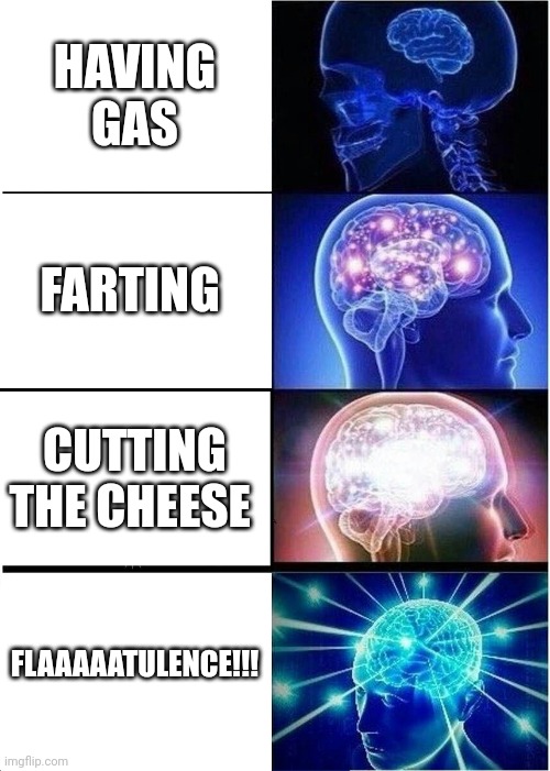 Brain fart | HAVING GAS; FARTING; CUTTING THE CHEESE; FLAAAAATULENCE!!! | image tagged in memes,expanding brain | made w/ Imgflip meme maker