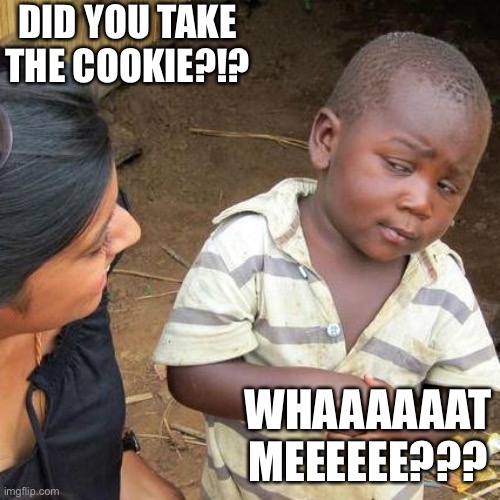 Third World Skeptical Kid | DID YOU TAKE THE COOKIE?!? WHAAAAAAT MEEEEEE??? | image tagged in memes,third world skeptical kid | made w/ Imgflip meme maker