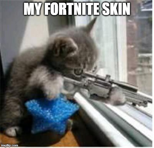 cats with guns | MY FORTNITE SKIN | image tagged in cats with guns | made w/ Imgflip meme maker