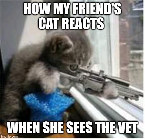 This cat hates the vet | HOW MY FRIEND'S CAT REACTS; WHEN SHE SEES THE VET | image tagged in cats with guns | made w/ Imgflip meme maker