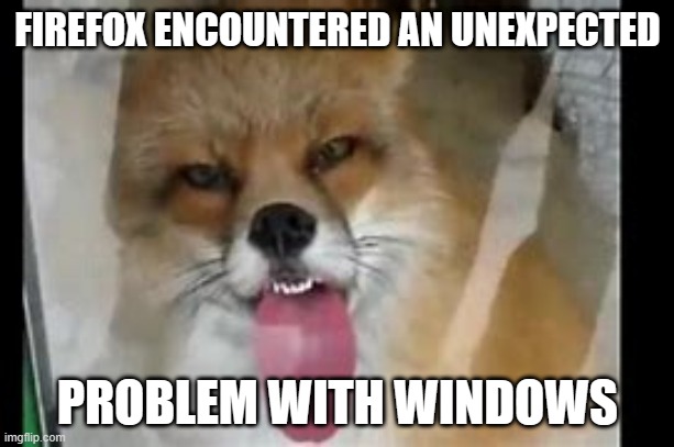 Firefox has Encountered an Unexpected Problem with Windows | FIREFOX ENCOUNTERED AN UNEXPECTED; PROBLEM WITH WINDOWS | image tagged in microsoft windows,mozilla firefox,cute,fox licking glass | made w/ Imgflip meme maker