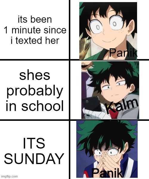 Panik Deku | its been 1 minute since i texted her; shes probably in school; ITS SUNDAY | image tagged in panik deku | made w/ Imgflip meme maker