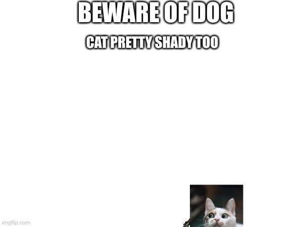 BEWARE OF DOG; CAT PRETTY SHADY TOO | made w/ Imgflip meme maker