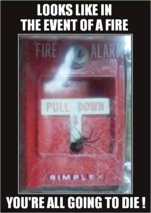 When You're Scared Of Spiders ! | LOOKS LIKE IN THE EVENT OF A FIRE; YOU'RE ALL GOING TO DIE ! | image tagged in fire alarm,spiders,arachnophobia,dark humour | made w/ Imgflip meme maker