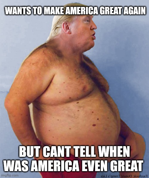 Trump fat naked | WANTS TO MAKE AMERICA GREAT AGAIN BUT CANT TELL WHEN WAS AMERICA EVEN GREAT | image tagged in trump fat naked | made w/ Imgflip meme maker