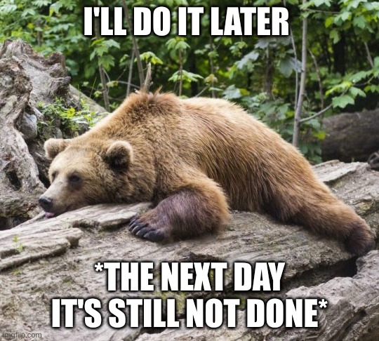 my procrastination: | I'LL DO IT LATER; *THE NEXT DAY IT'S STILL NOT DONE* | image tagged in procrastination bear | made w/ Imgflip meme maker