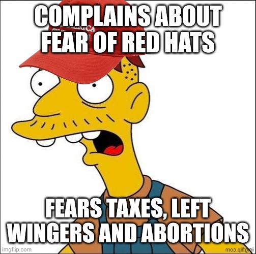 Some Kind Of MAGA Moron | COMPLAINS ABOUT FEAR OF RED HATS FEARS TAXES, LEFT WINGERS AND ABORTIONS | image tagged in some kind of maga moron | made w/ Imgflip meme maker