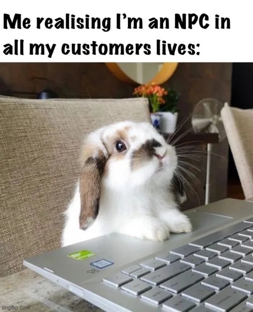 Have a nice… day… | image tagged in npc,bunnies,memes,funny,bunny,repost | made w/ Imgflip meme maker