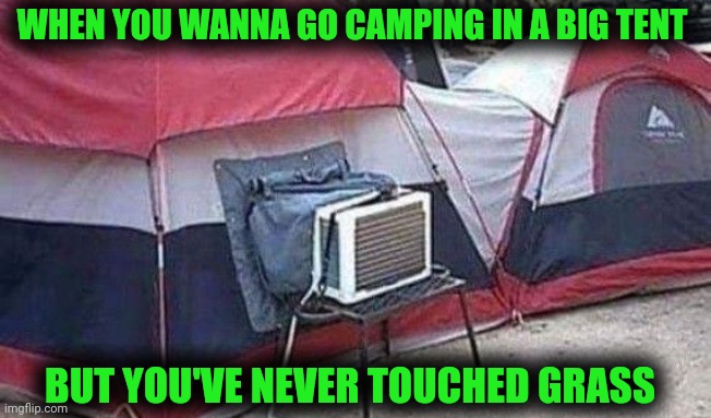 Vote big tent party | WHEN YOU WANNA GO CAMPING IN A BIG TENT; BUT YOU'VE NEVER TOUCHED GRASS | image tagged in vote,big tent,party,touch grass | made w/ Imgflip meme maker
