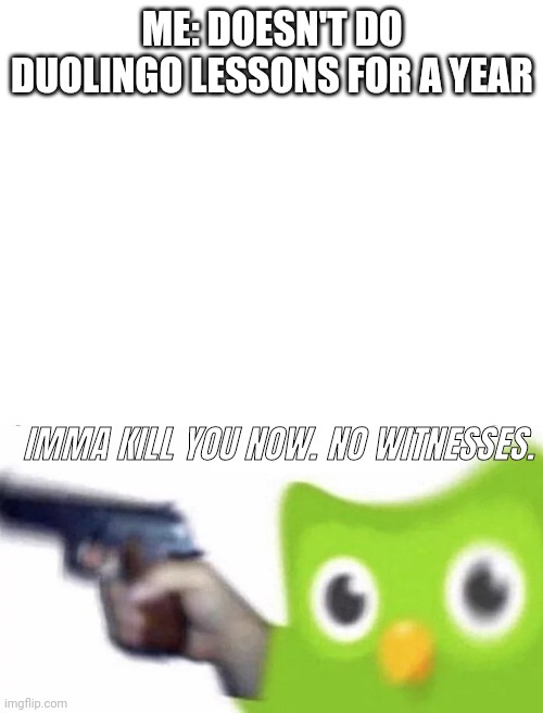 When you forget to do Duolingo for a year | ME: DOESN'T DO DUOLINGO LESSONS FOR A YEAR; IMMA KILL YOU NOW. NO WITNESSES. | image tagged in duolingo gun | made w/ Imgflip meme maker