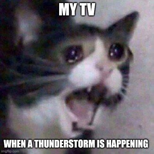 My tv goes haywire whenever a thunderstorm happens | MY TV; WHEN A THUNDERSTORM IS HAPPENING | image tagged in cat screaming | made w/ Imgflip meme maker