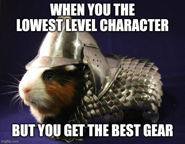 AUGHHHHHHHH | WHEN YOU THE LOWEST LEVEL CHARACTER; BUT YOU GET THE BEST GEAR | image tagged in guinea pig,memes | made w/ Imgflip meme maker