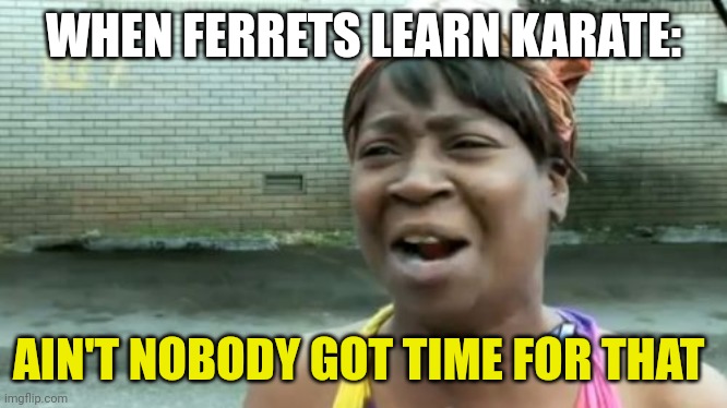 Karate ferrets | WHEN FERRETS LEARN KARATE:; AIN'T NOBODY GOT TIME FOR THAT | image tagged in memes,ain't nobody got time for that | made w/ Imgflip meme maker