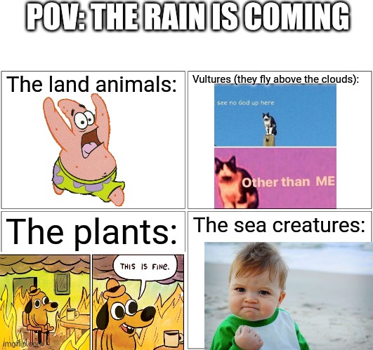 how the hell do the plants survive the rain | POV: THE RAIN IS COMING; The land animals:; Vultures (they fly above the clouds):; The plants:; The sea creatures: | image tagged in memes,blank comic panel 2x2 | made w/ Imgflip meme maker