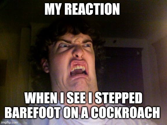 When you step barefoot on a cockroach | MY REACTION; WHEN I SEE I STEPPED BAREFOOT ON A COCKROACH | image tagged in memes,oh no | made w/ Imgflip meme maker