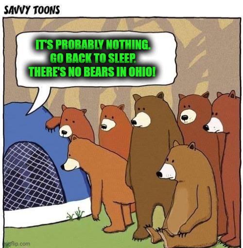 IT'S PROBABLY NOTHING. GO BACK TO SLEEP. THERE'S NO BEARS IN OHIO! | made w/ Imgflip meme maker
