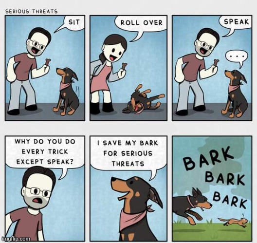 The tricks | image tagged in tricks,trick,dogs,dog,comics,comics/cartoons | made w/ Imgflip meme maker